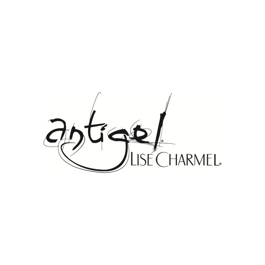 Porte-jarretelles Lise Charmel ANTIGEL - T2 - Dentelle Ivoire - Neuf Sans étiquette